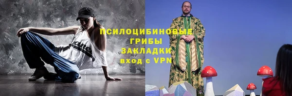 хмурый Медногорск