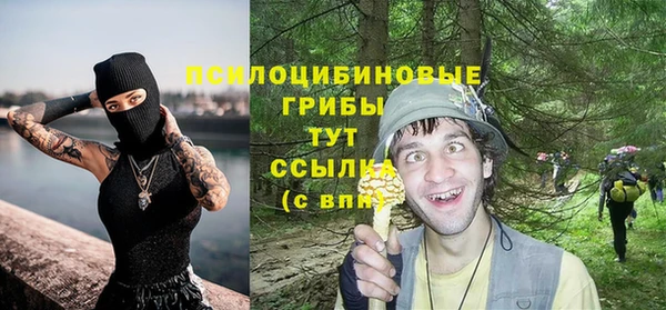 хмурый Медногорск