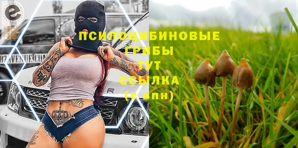 хмурый Медногорск